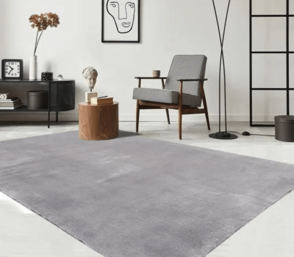 meilleurs tapis pas cher - Tapis The Carpet Relax