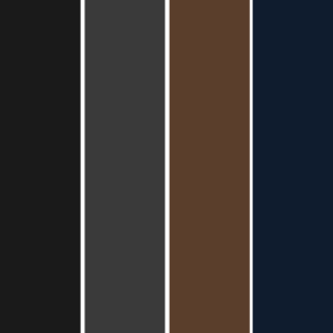 Japandi : une palette de couleur sombre pour contraster